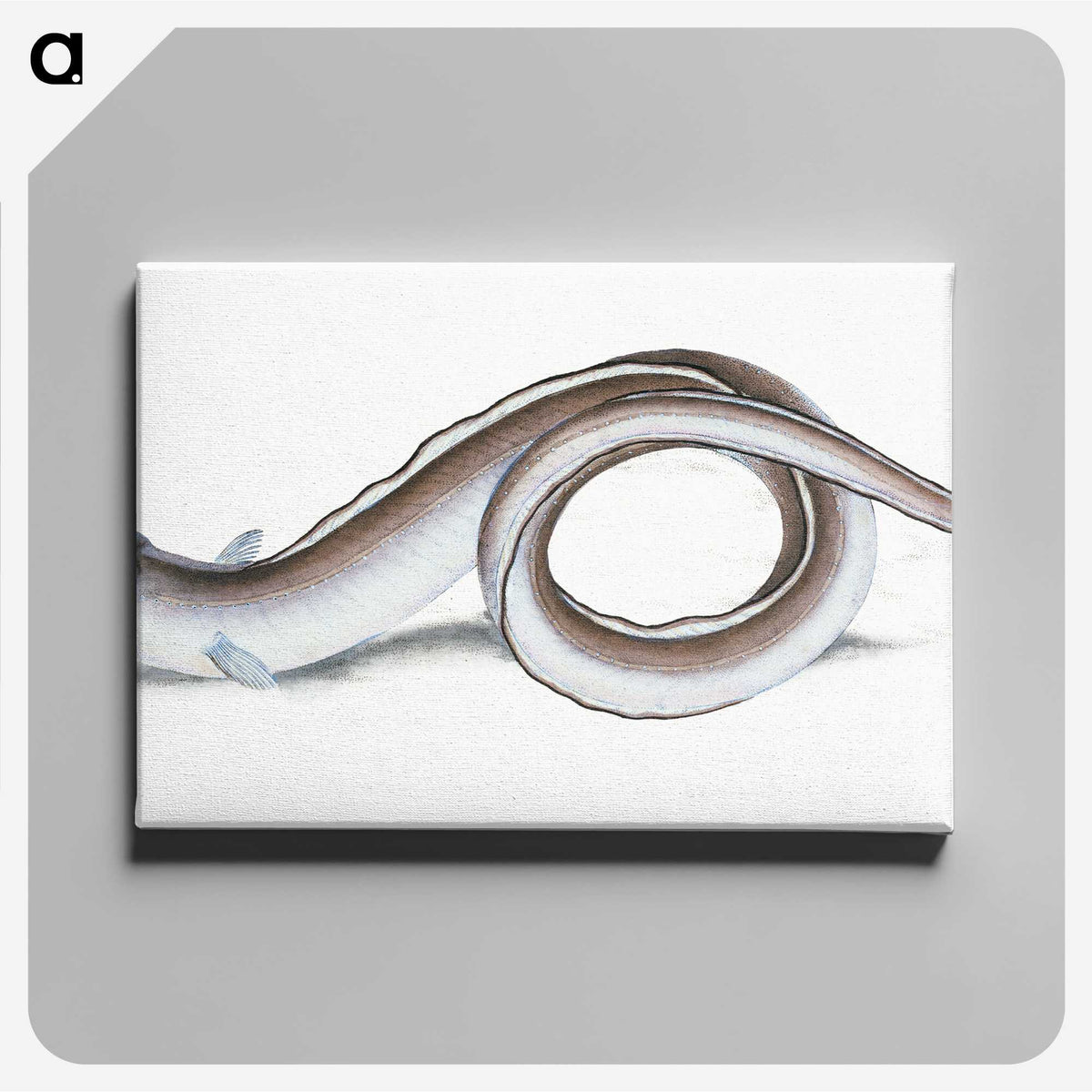 1-64_The-Natural-History-of-British-Fishes_canvas