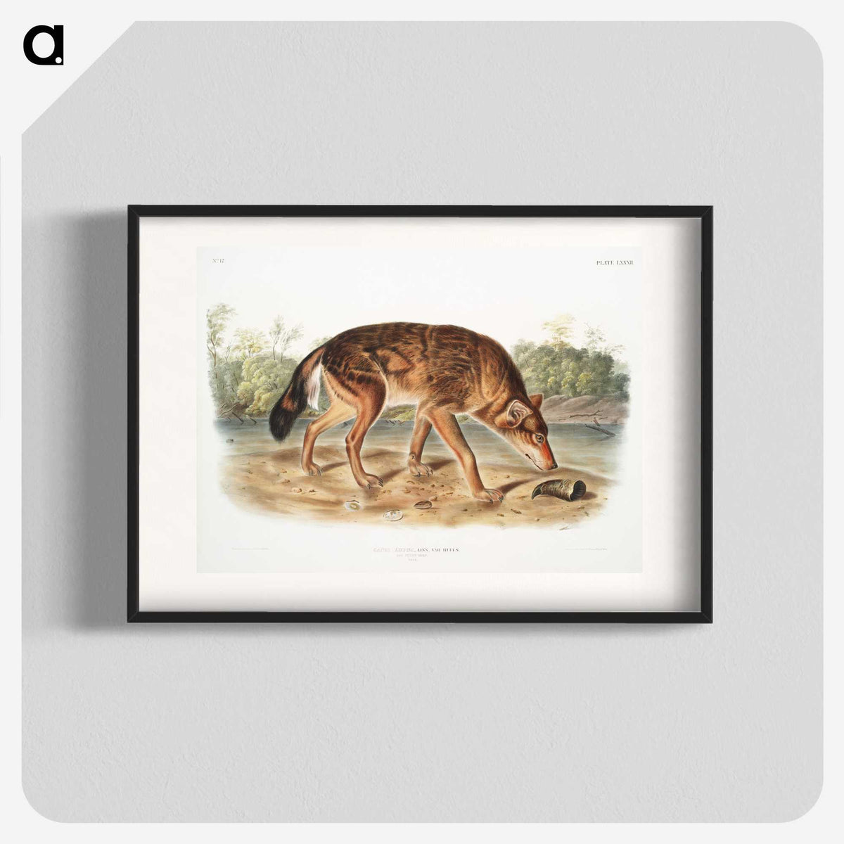 1-64_The-Viviparous-Quadrupeds_blk