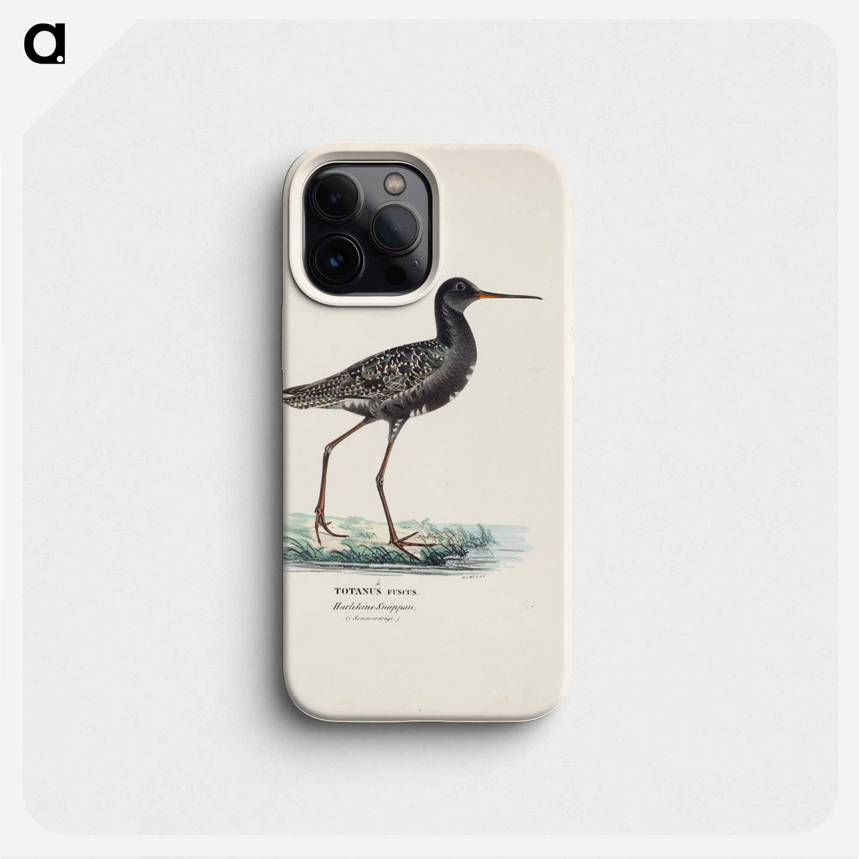 Spotted redshank in summer - Wilhelm von Wright Phone Case.