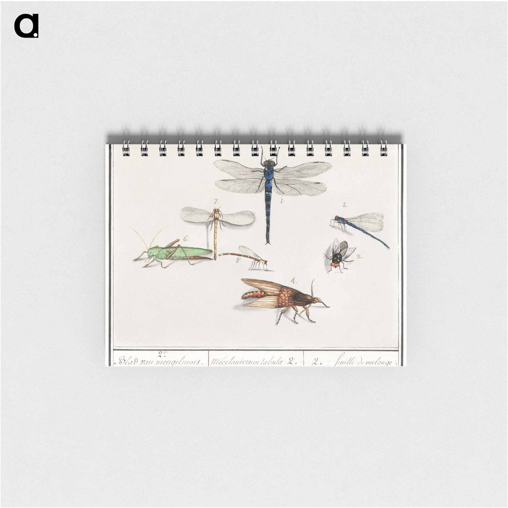 Natural History Ensemble, no. 2 - アンセルムス ボエティウス デ ブート Memo.