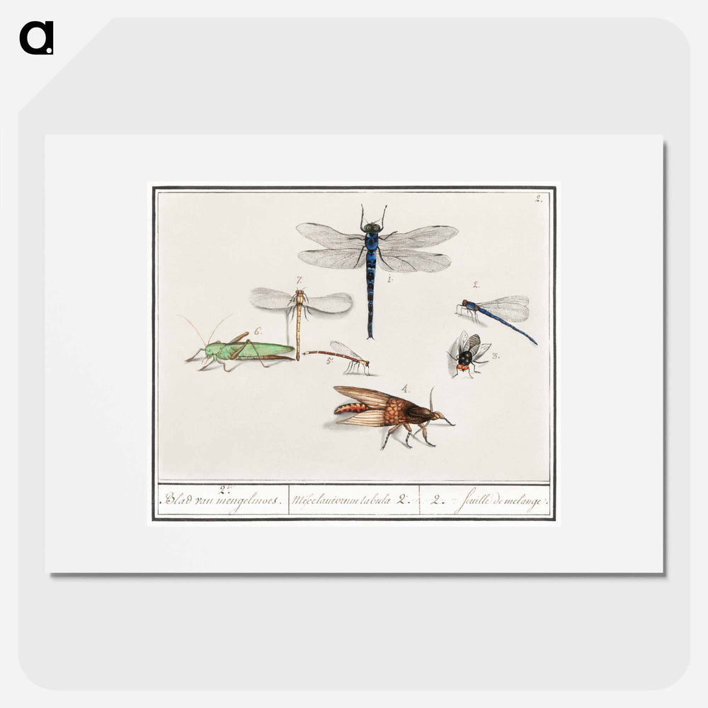 Natural History Ensemble, no. 2 - アンセルムス ボエティウス デ ブート Poster.