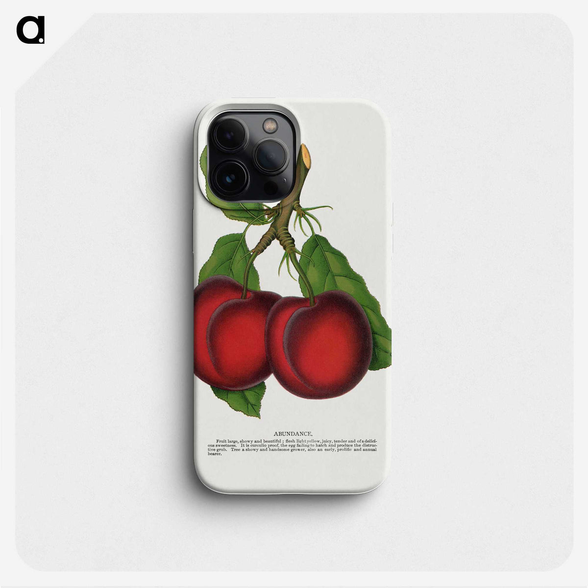 1-65_Botanical-Specimen-Plates_phone