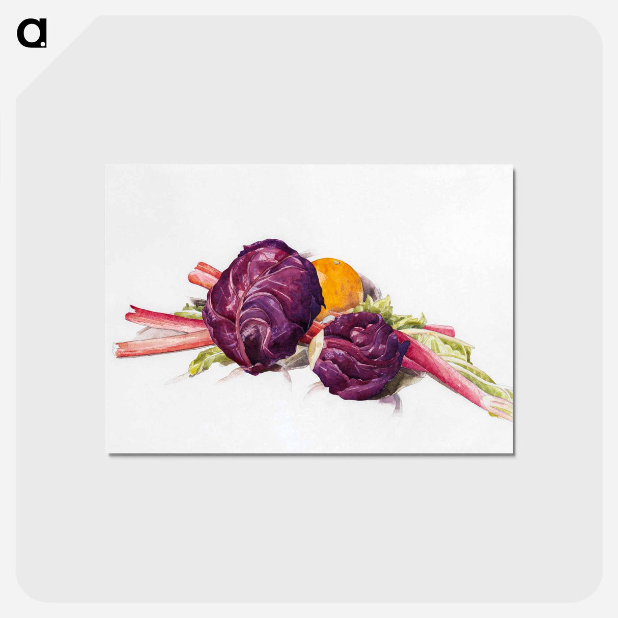 アートポストカード-Red Cabbages, Rhubarb and Orange - チャールズ デムス Postcard.