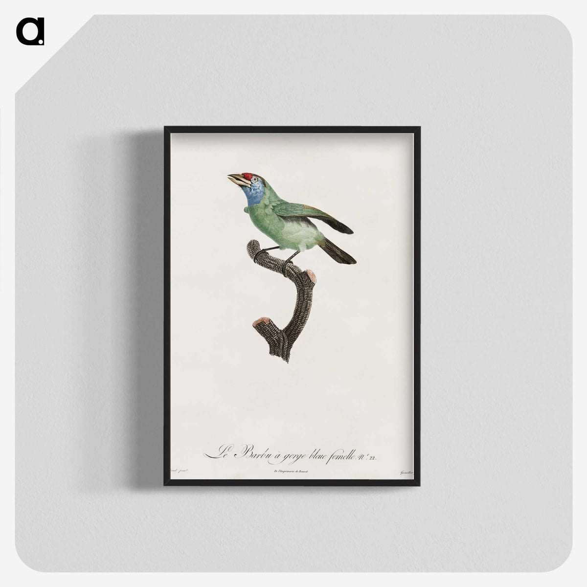 1-65_Des-Oiseaux-de-Paradis_blk-crop