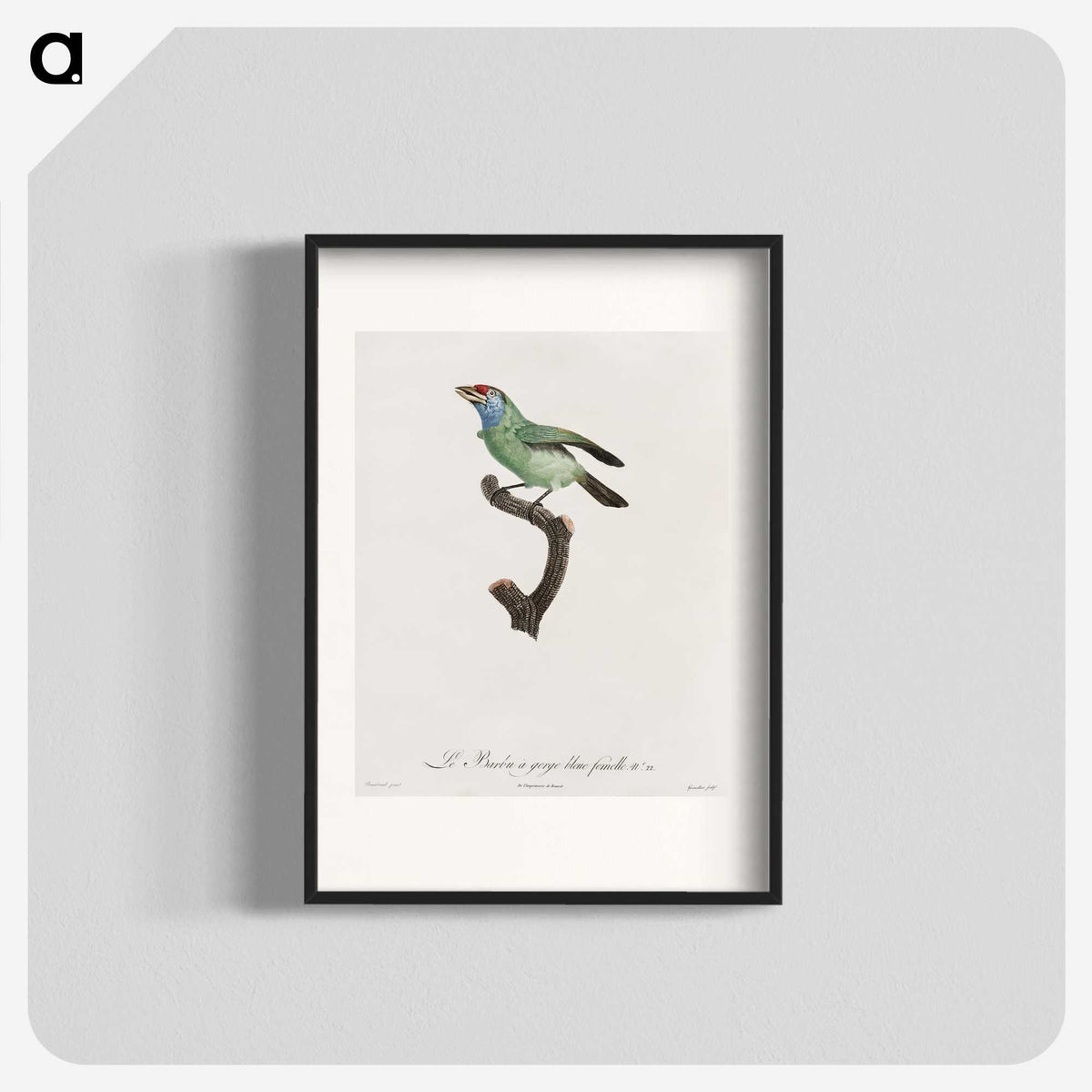 1-65_Des-Oiseaux-de-Paradis_blk