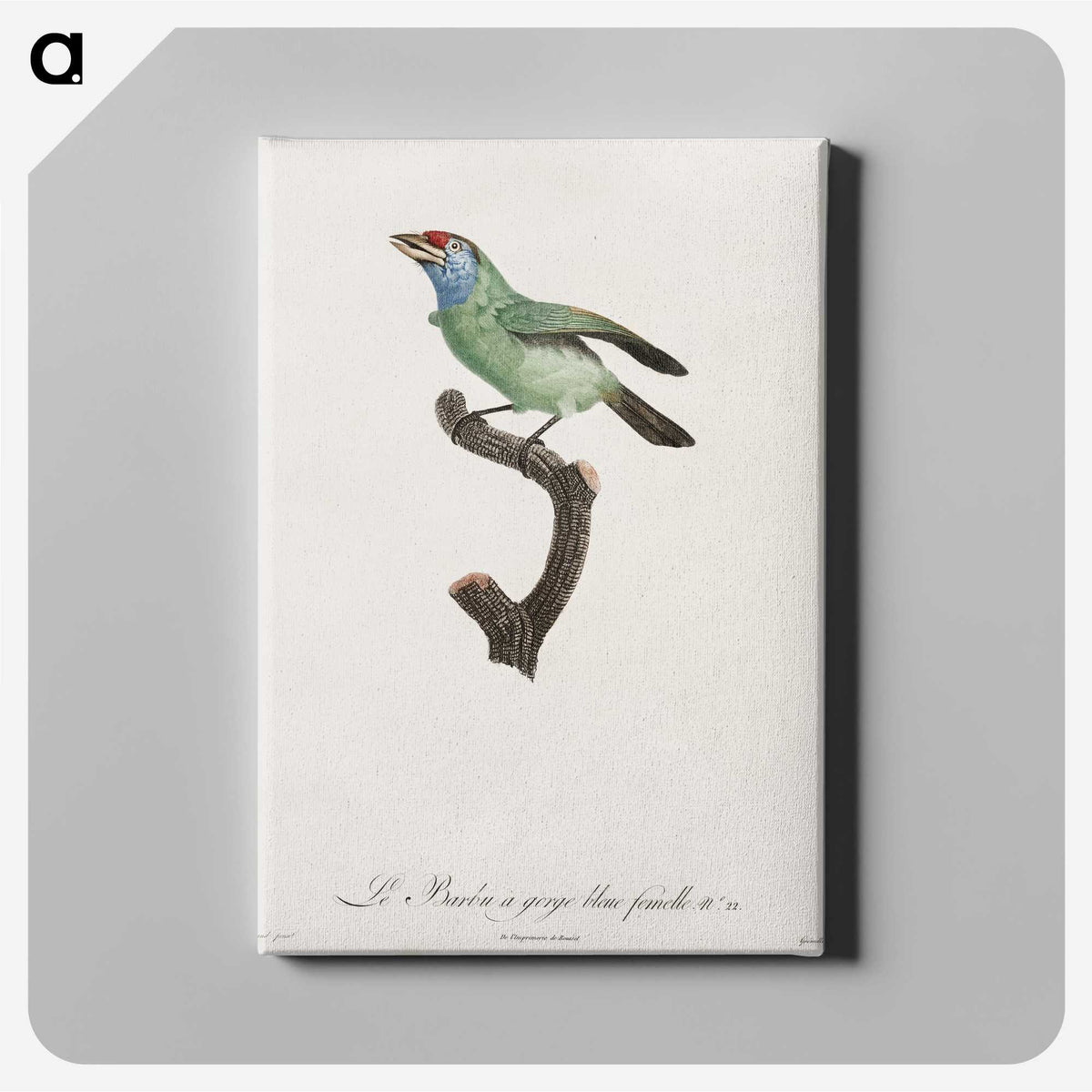 1-65_Des-Oiseaux-de-Paradis_canvas