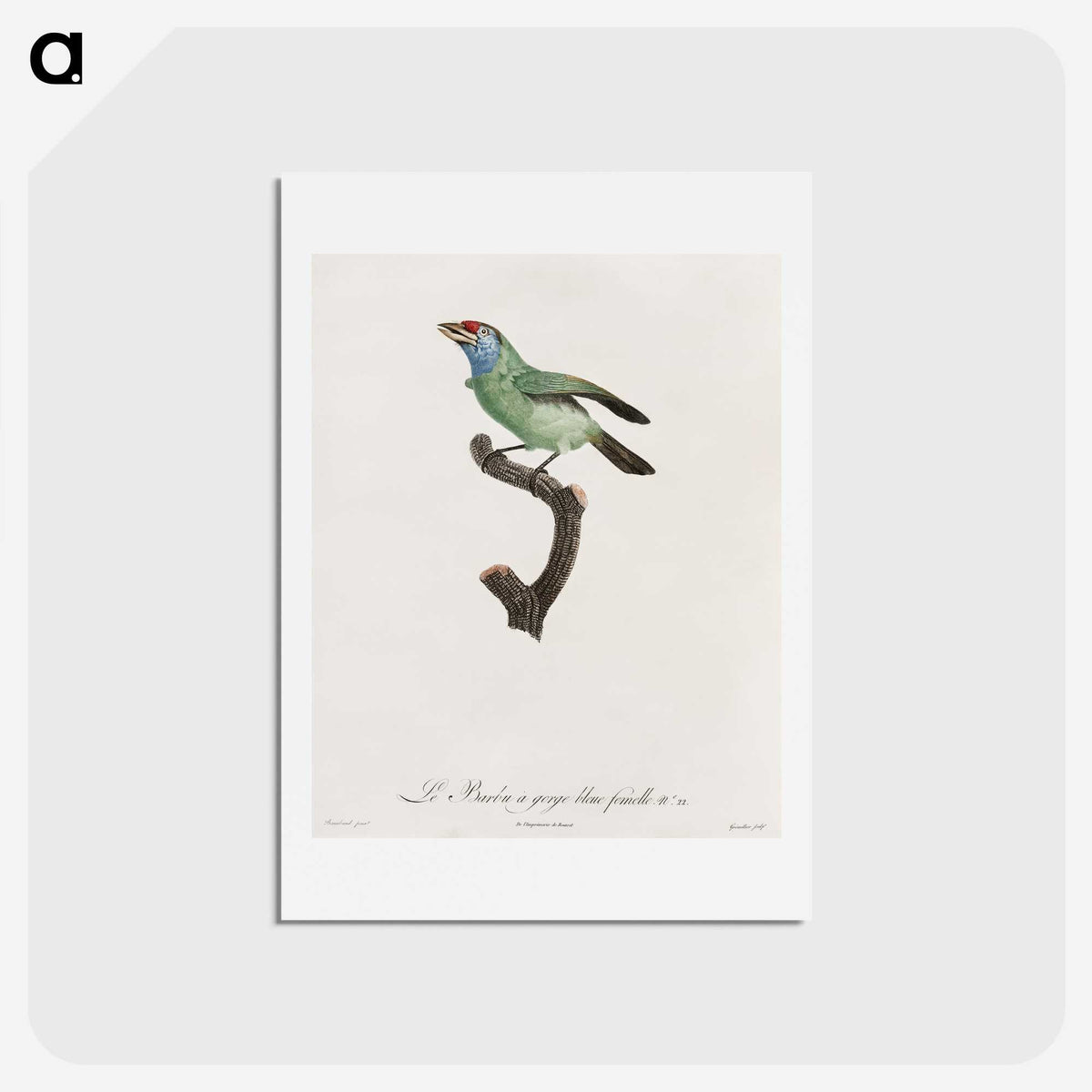 1-65_Des-Oiseaux-de-Paradis_hagaki