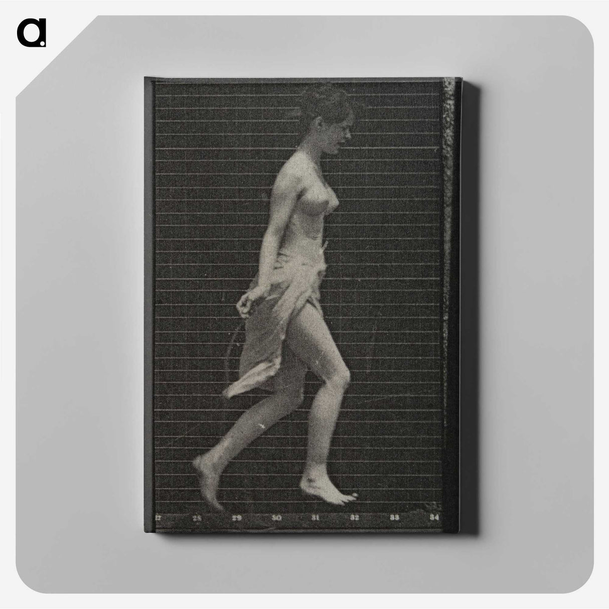 1-65_Eadweard-Muybridge_canvas