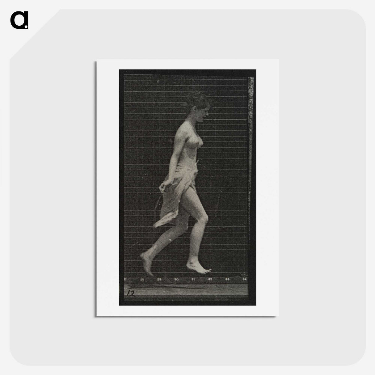 1-65_Eadweard-Muybridge_hagaki