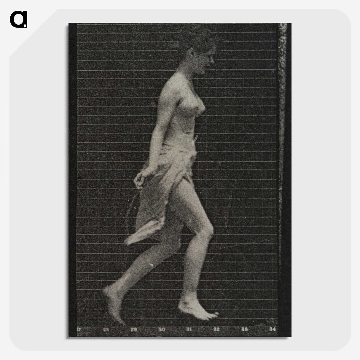 1-65_Eadweard-Muybridge_picture-crop