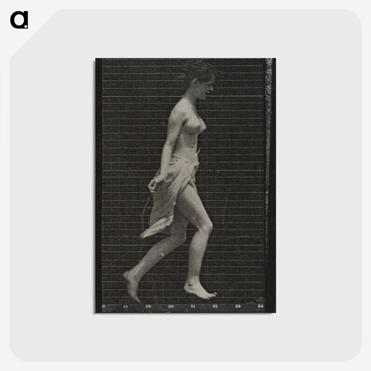 1-65_Eadweard-Muybridge_postcard