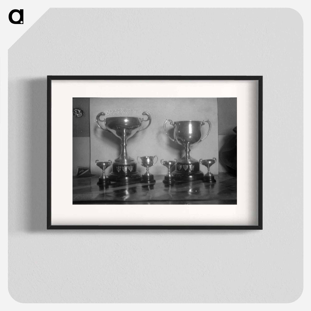 Boxing Trophies - エリック リー ジョンソン Poster.