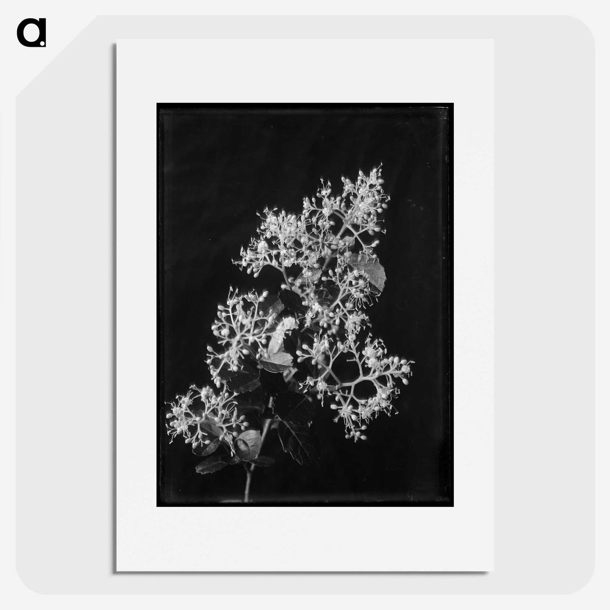 1-65_Frederick-Charles-Brockett_picture