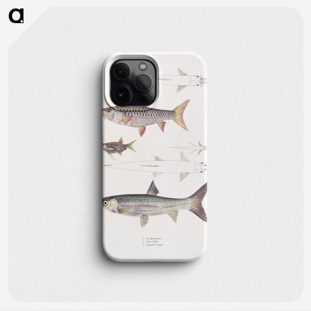 1-65_Indian-Zoology_phone