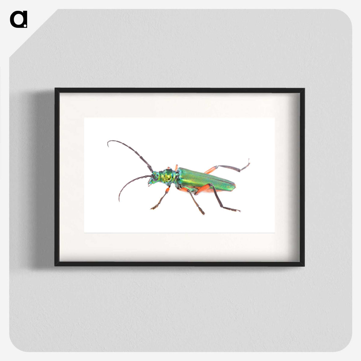 1-65_Insects-Unlocked-Project_blk