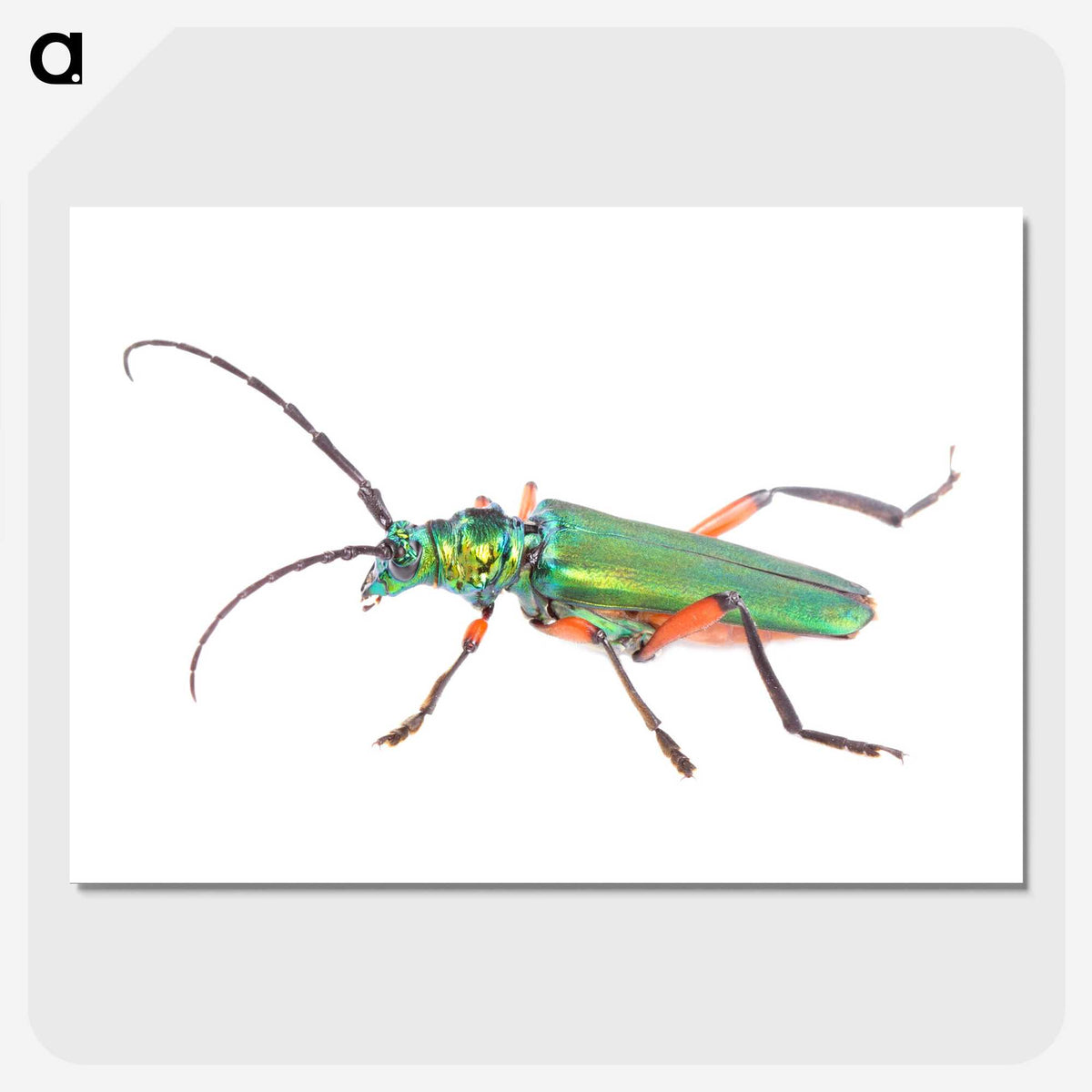 1-65_Insects-Unlocked-Project_picture-crop