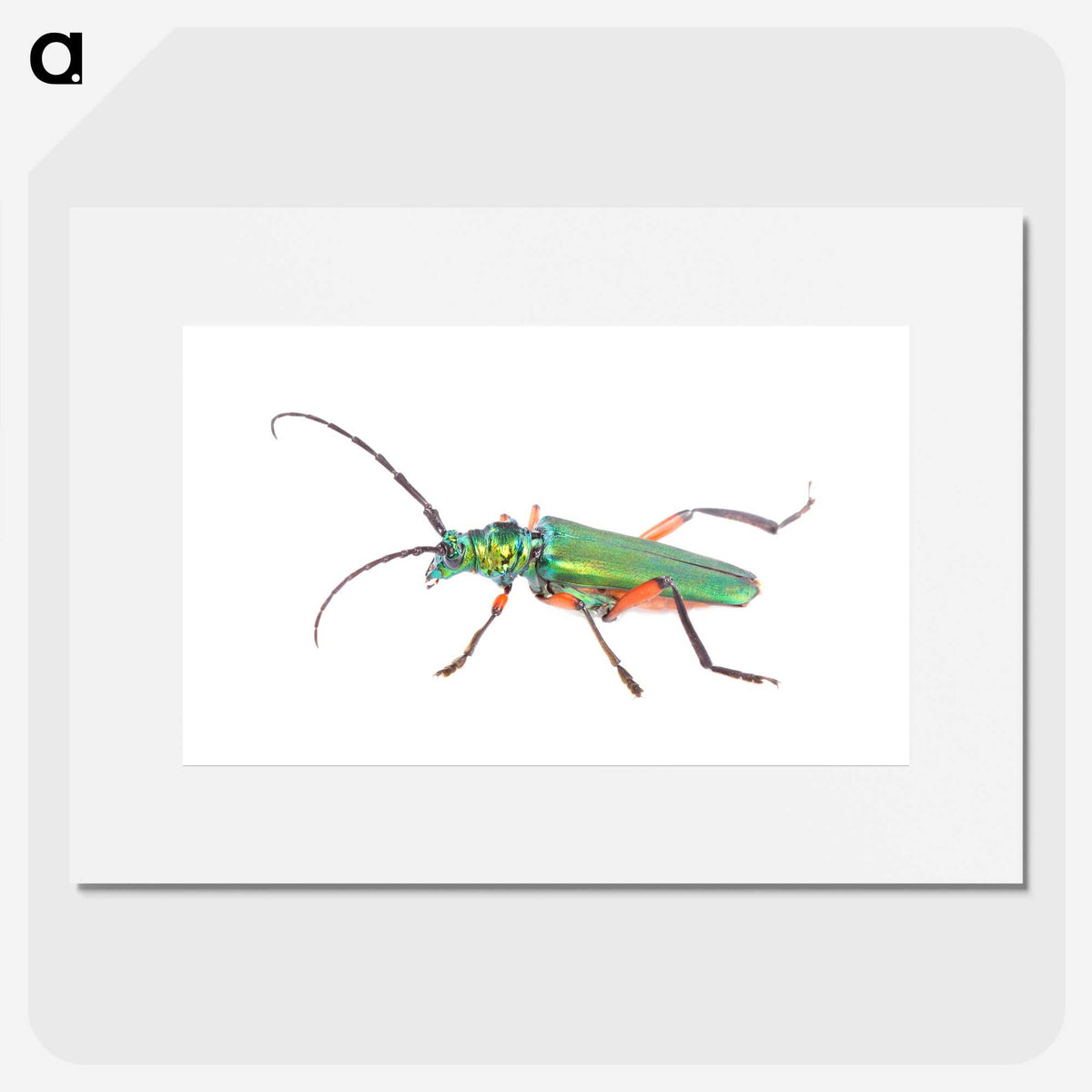 1-65_Insects-Unlocked-Project_picture