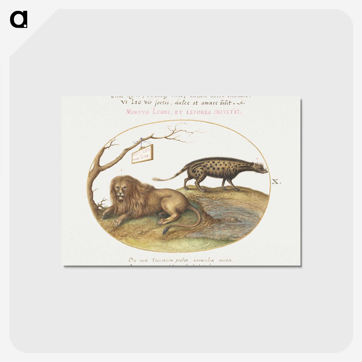 1-65_Joris-Hoefnagel_postcard