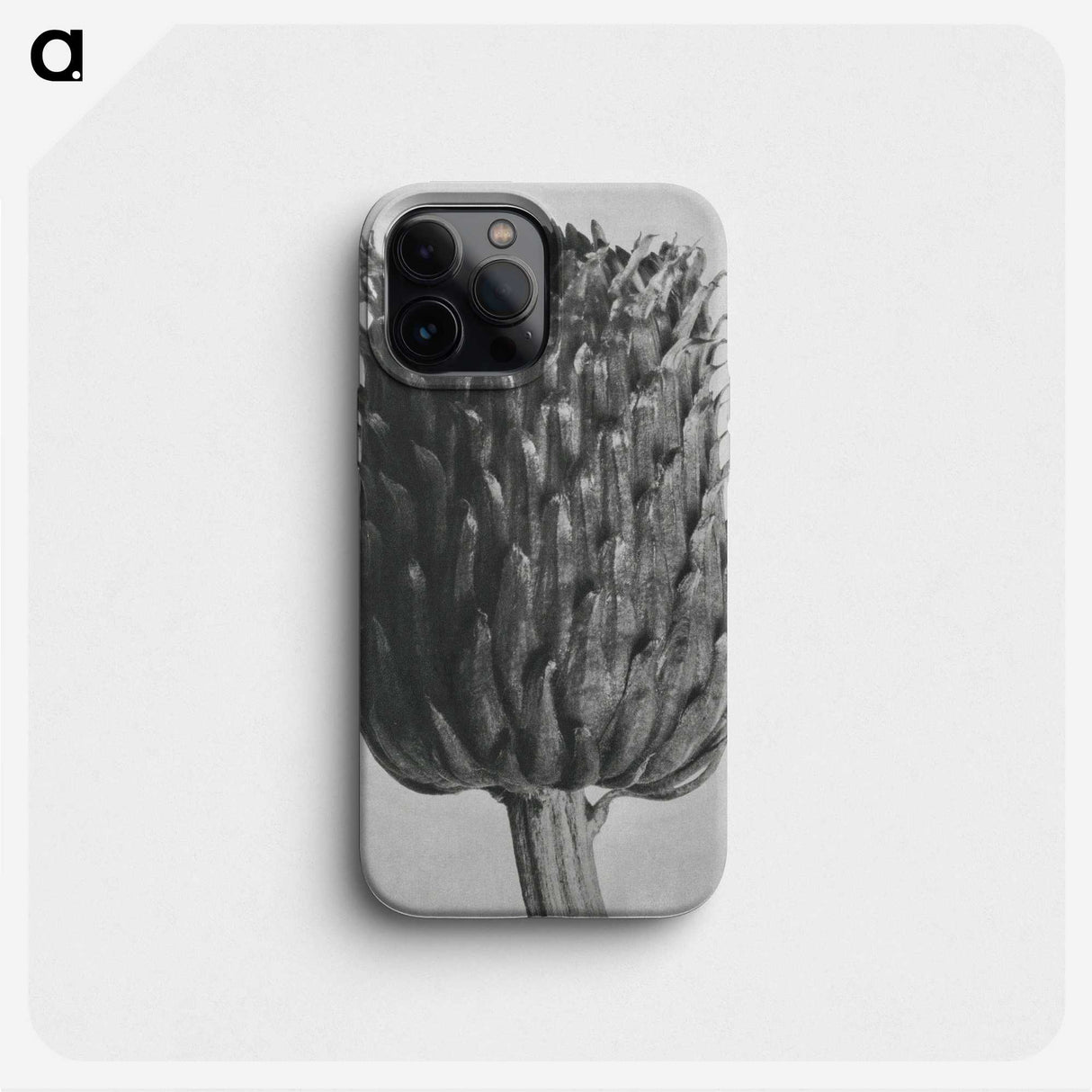 1-65_Karl-Blossfeldt_phone