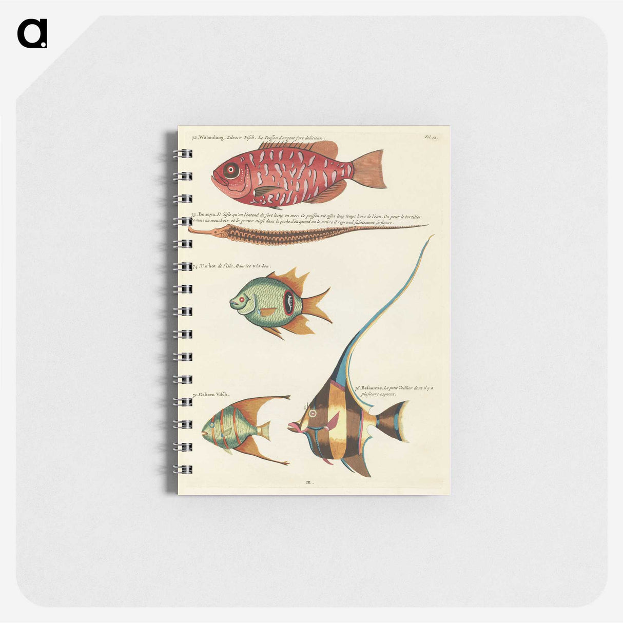 1-65_Louis-Renard_memo