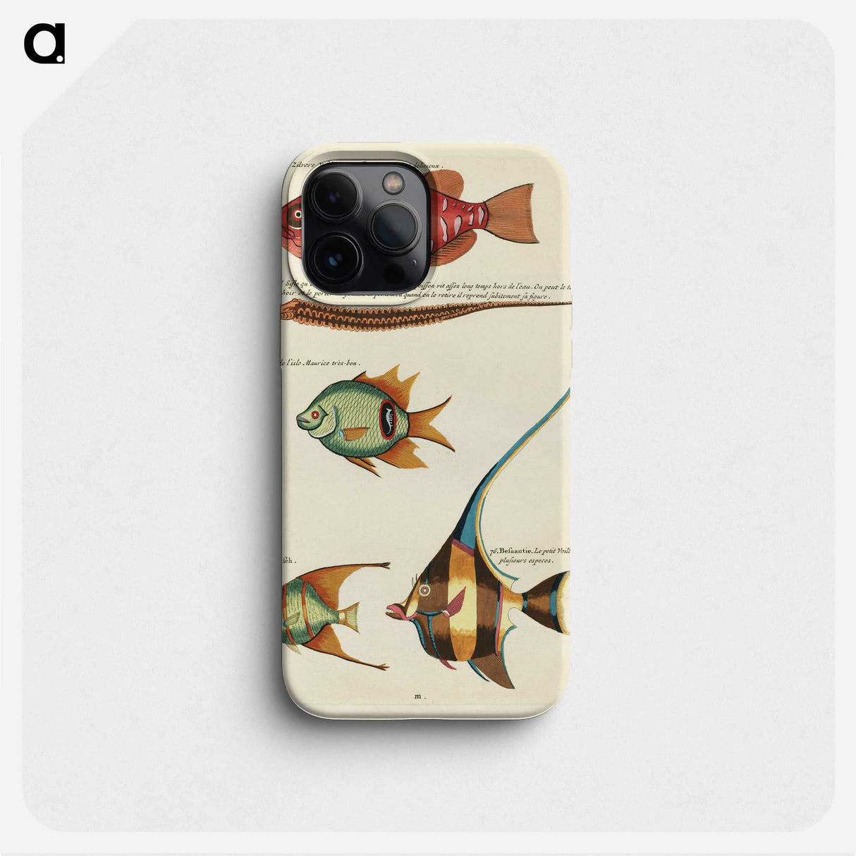 1-65_Louis-Renard_phone