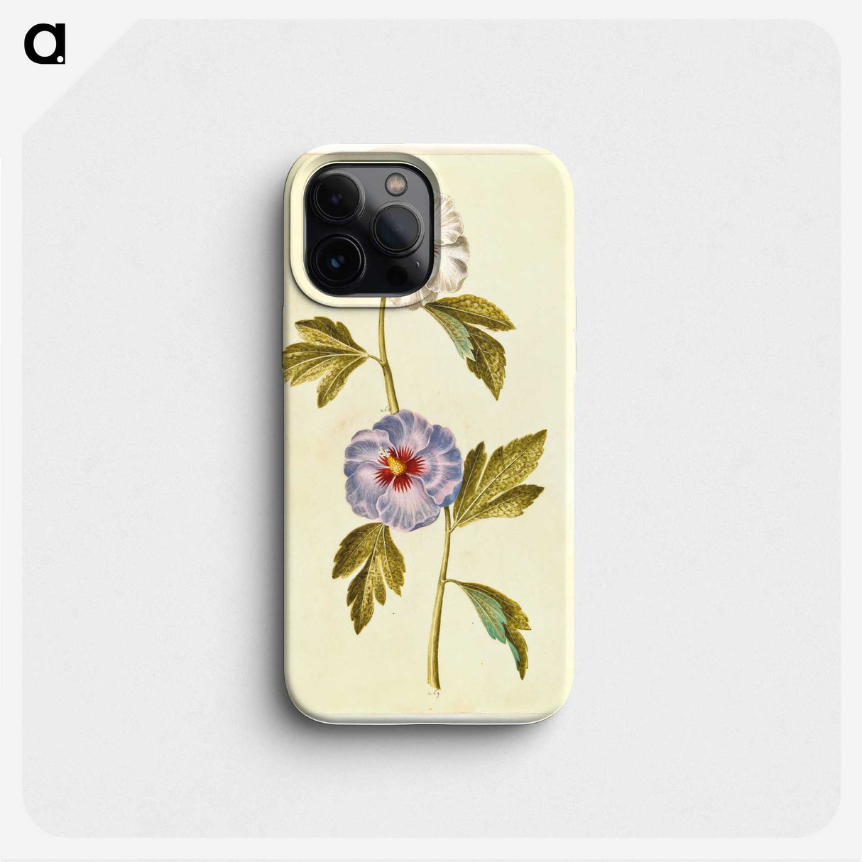 1-65_Maria-Sibylla-Merian_phone