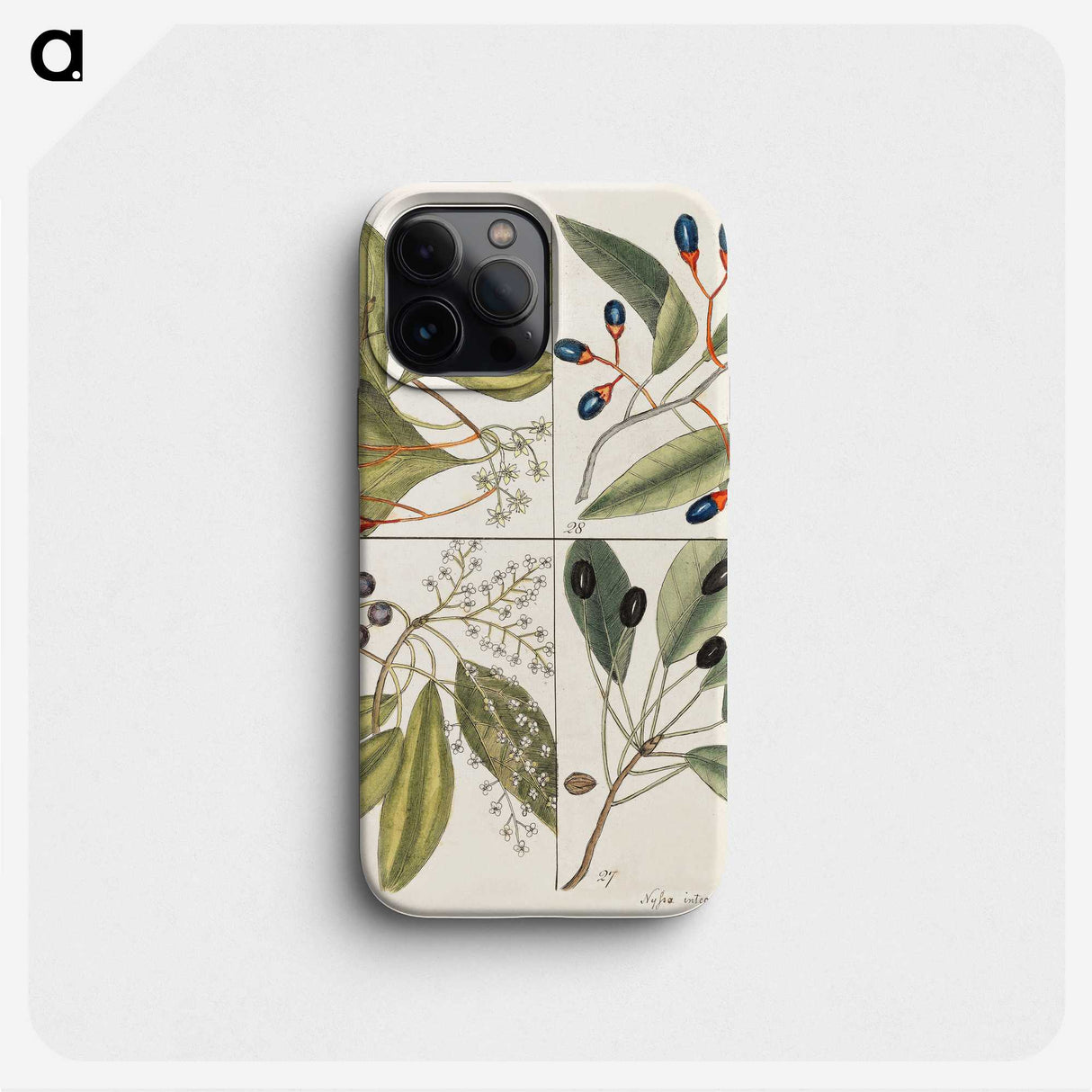 1-65_Mark-Catesby_phone