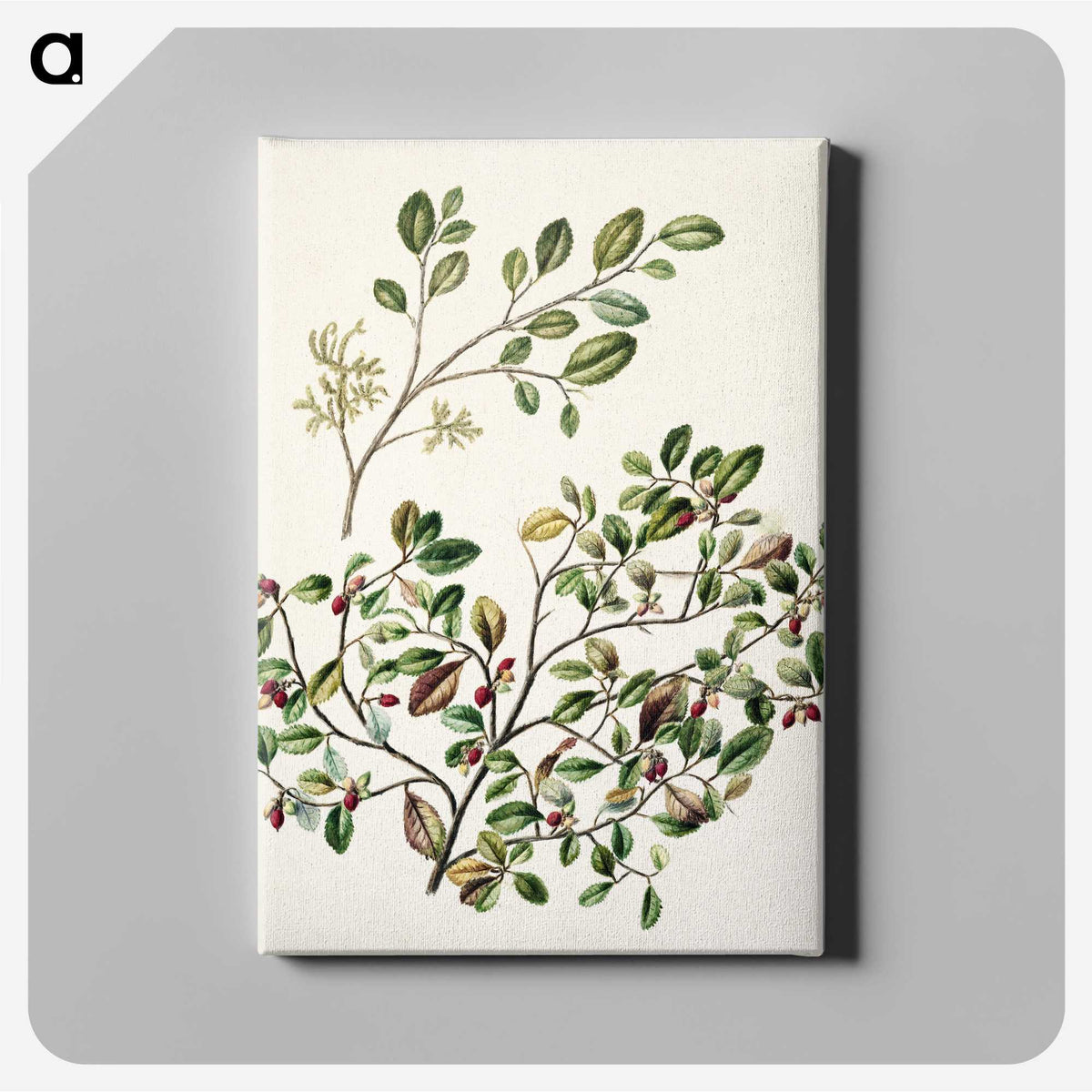 1-65_Native-Flowering-Plants-of-New-Zealand_canvas