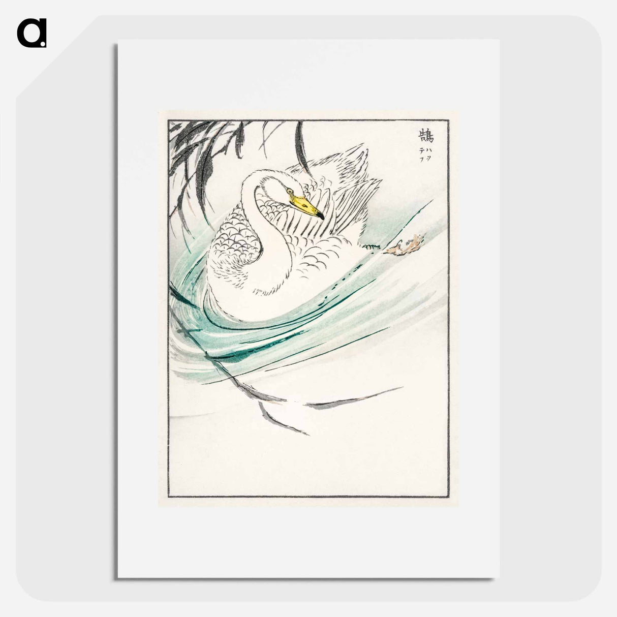 アートポスター-Wooper Swan Illustration
- 鳥類図鑑 Poster.