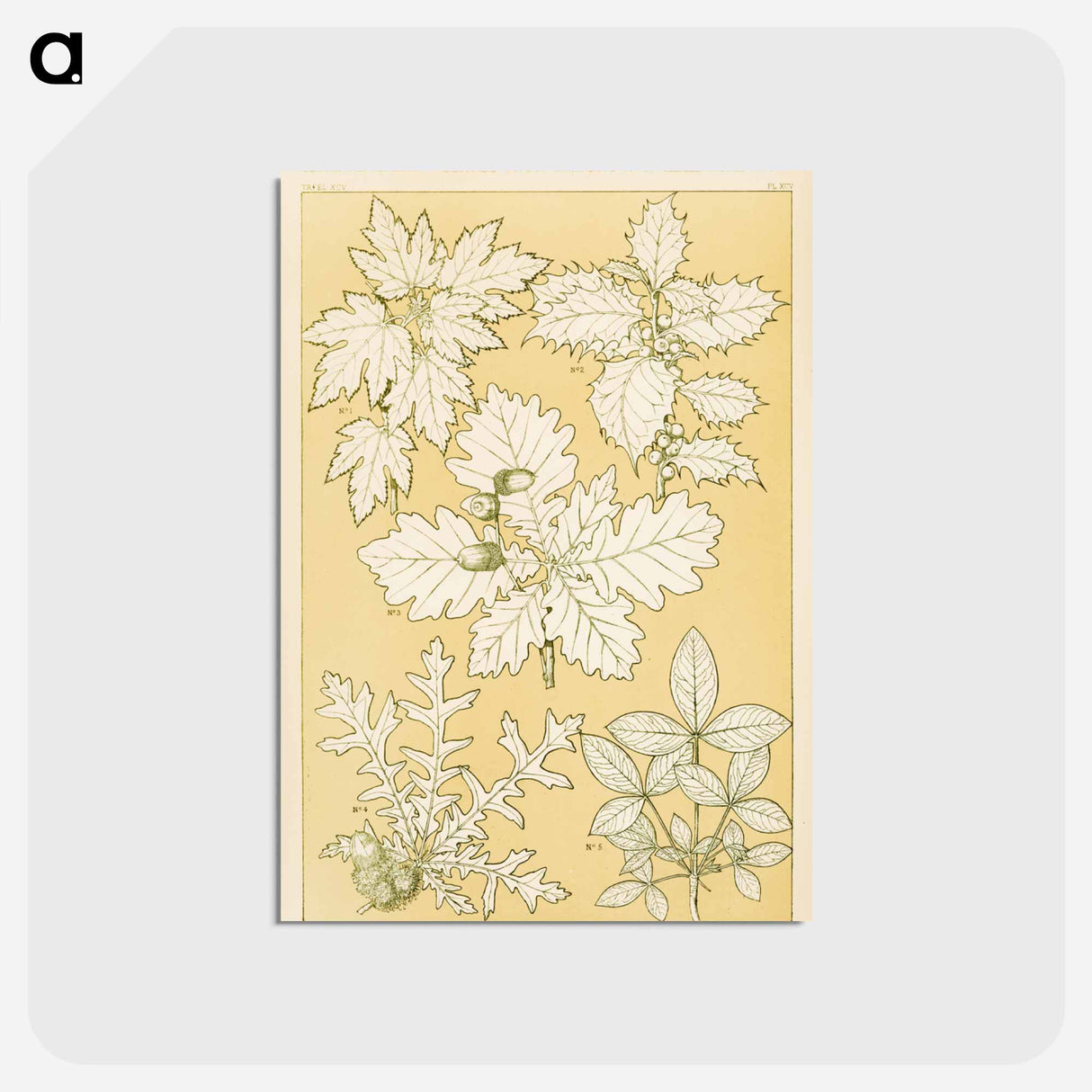 アートポストカード-Nineteenth-Century Ornament
- 装飾の文法 Postcard.