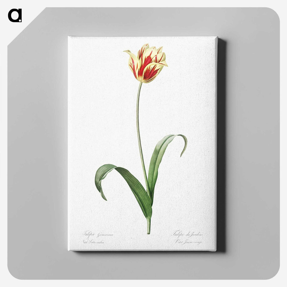 1-65_The-Lilies_canvas