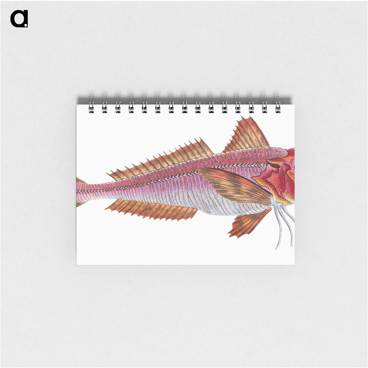 1-65_The-Natural-History-of-British-Fishes_memo