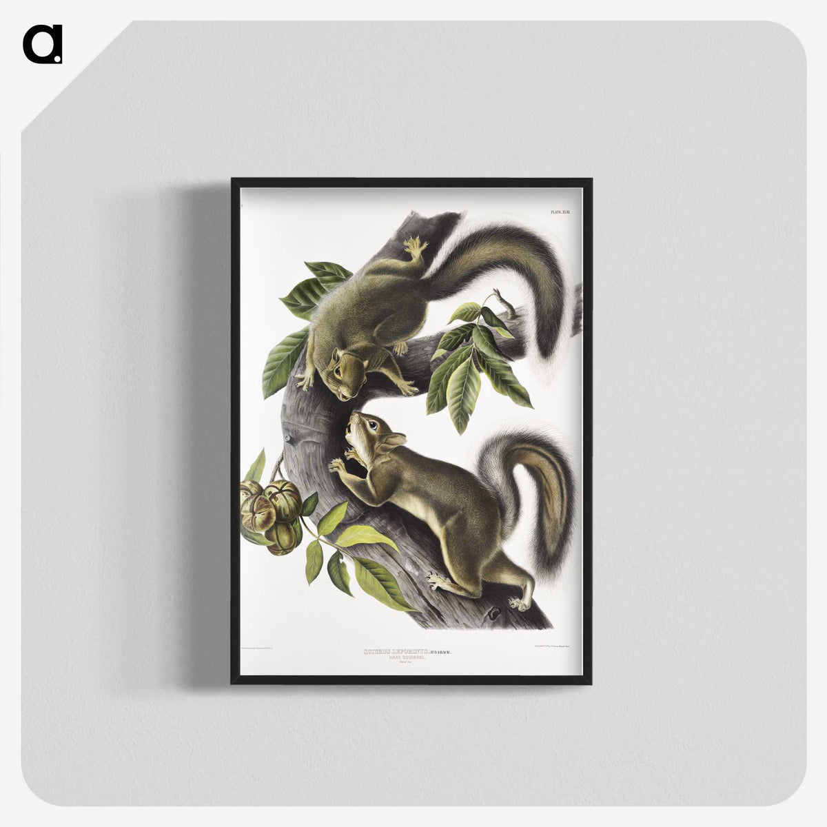 1-65_The-Viviparous-Quadrupeds_blk-crop