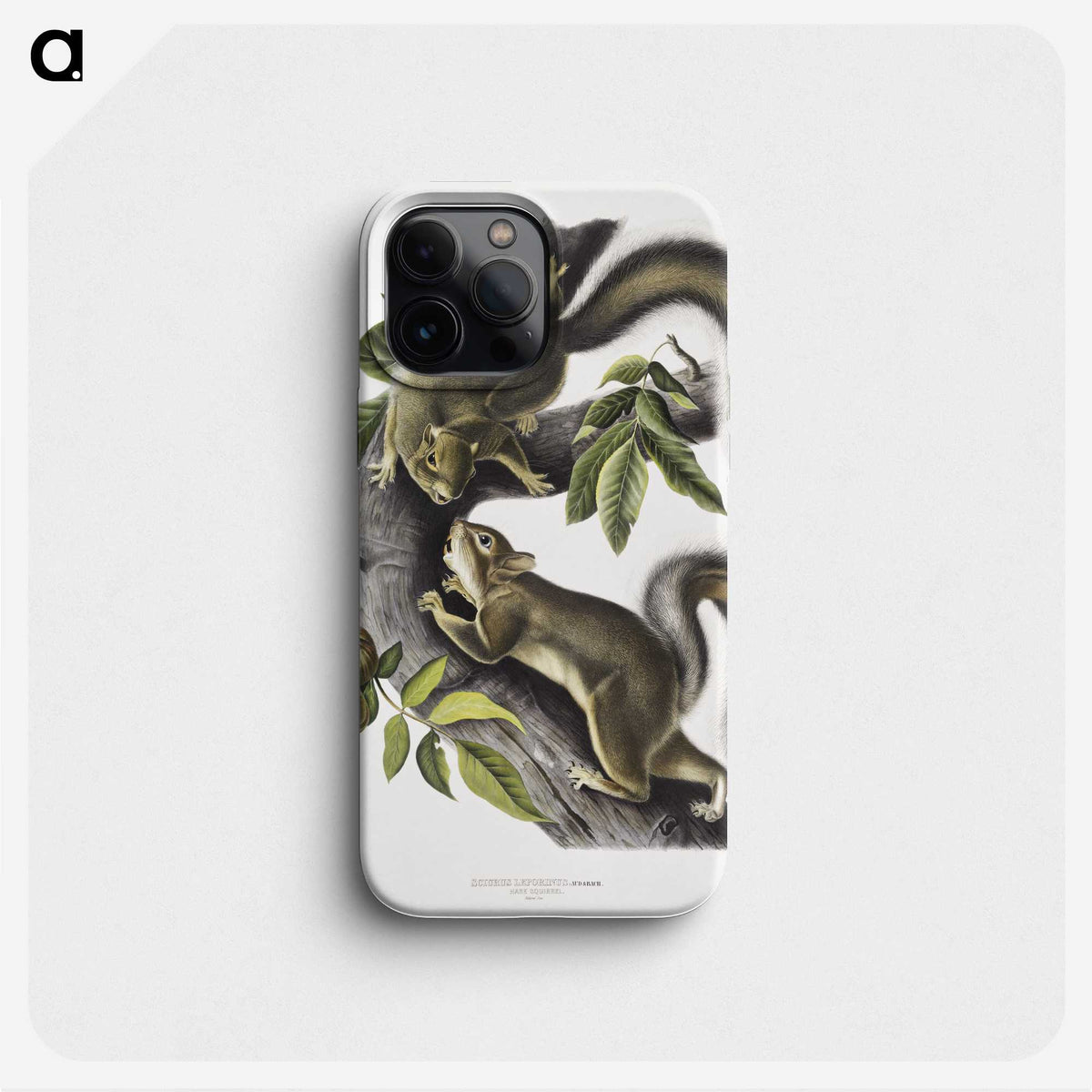 1-65_The-Viviparous-Quadrupeds_phone