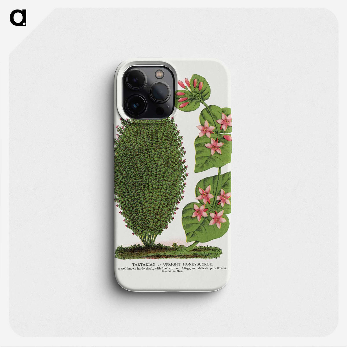 1-66_Botanical-Specimen-Plates_phone