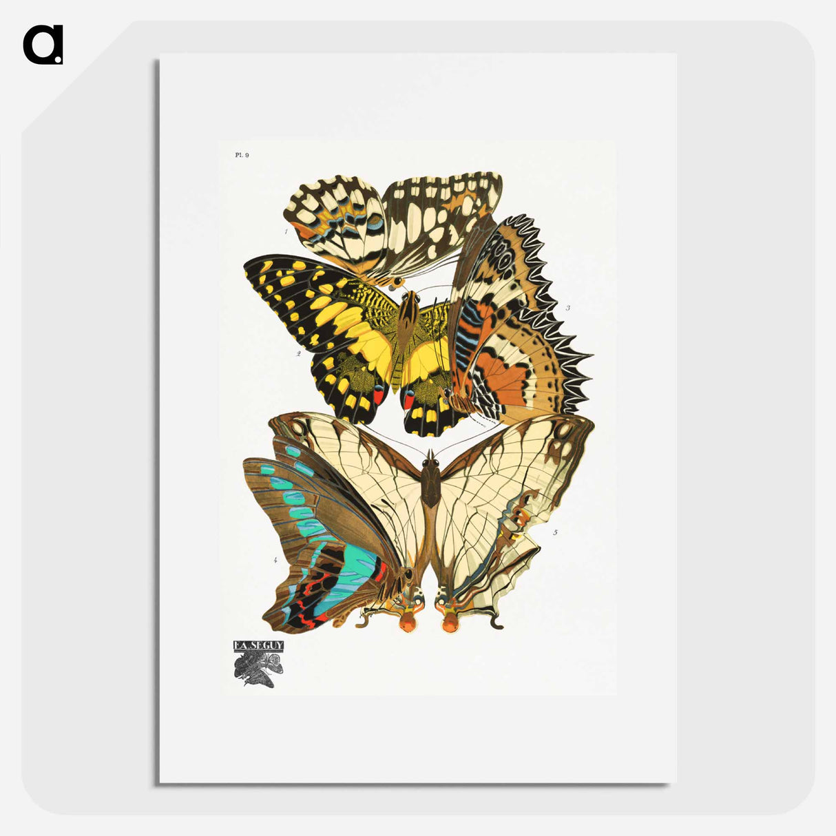E.A. Séguy's vintage butterflies - E.A.セギー Poster.