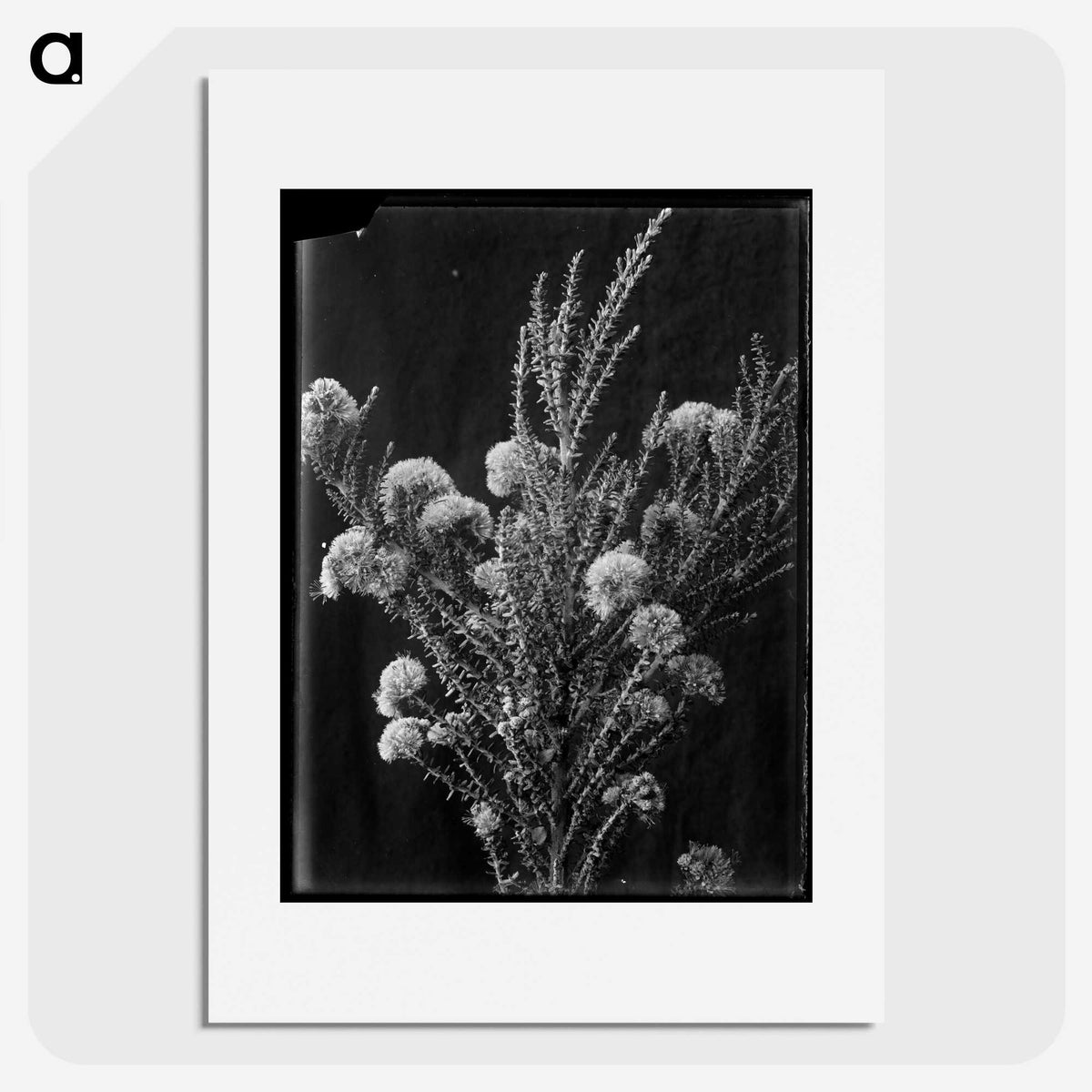 1-66_Frederick-Charles-Brockett_picture