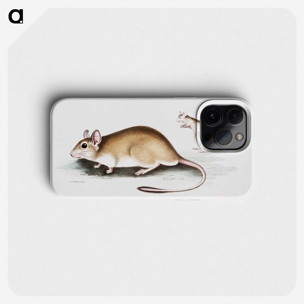 1-66_Indian-Zoology_phone