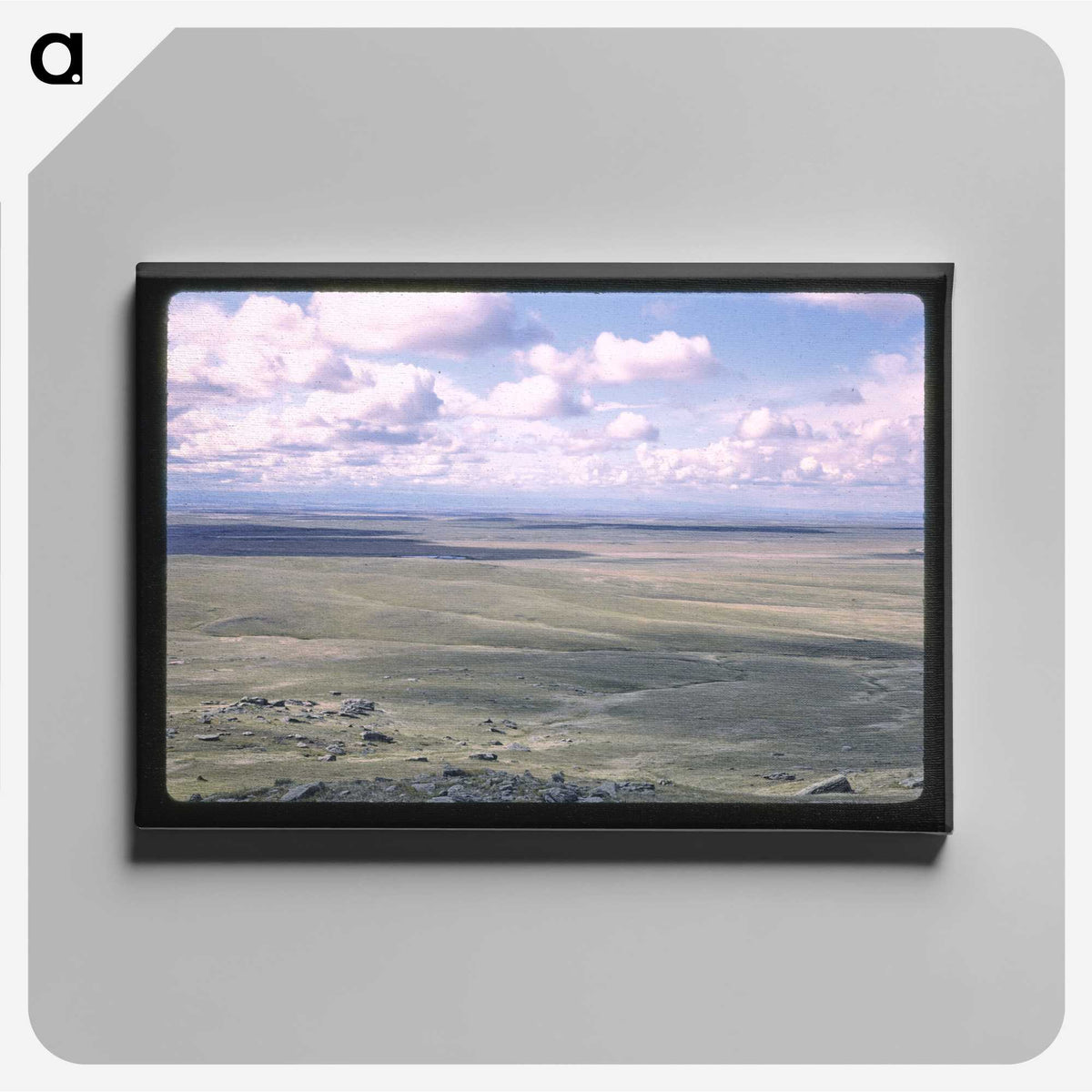 1-66_John-Margolies_canvas