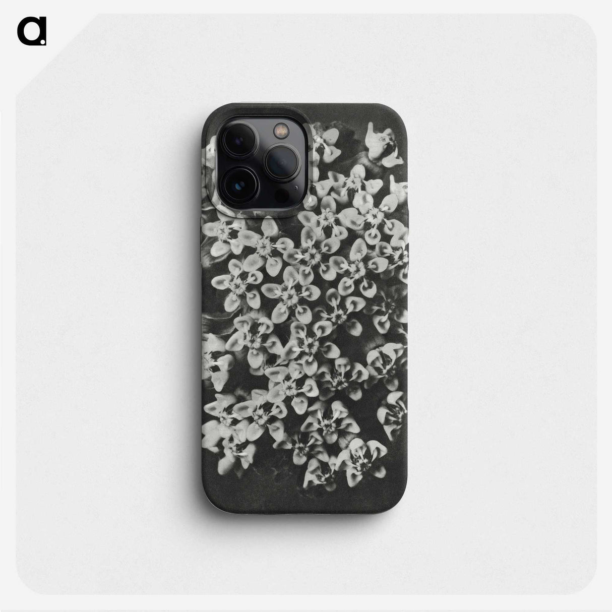 1-66_Karl-Blossfeldt_phone