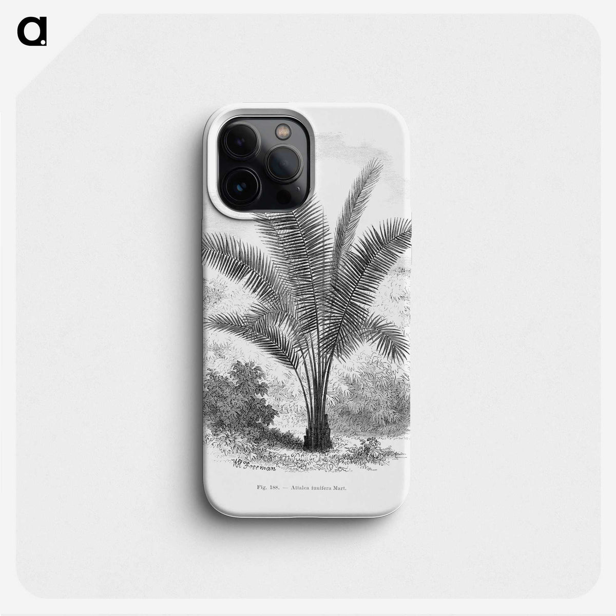 1-66_Les-Palmiers-Histoire-Iconographique_phone