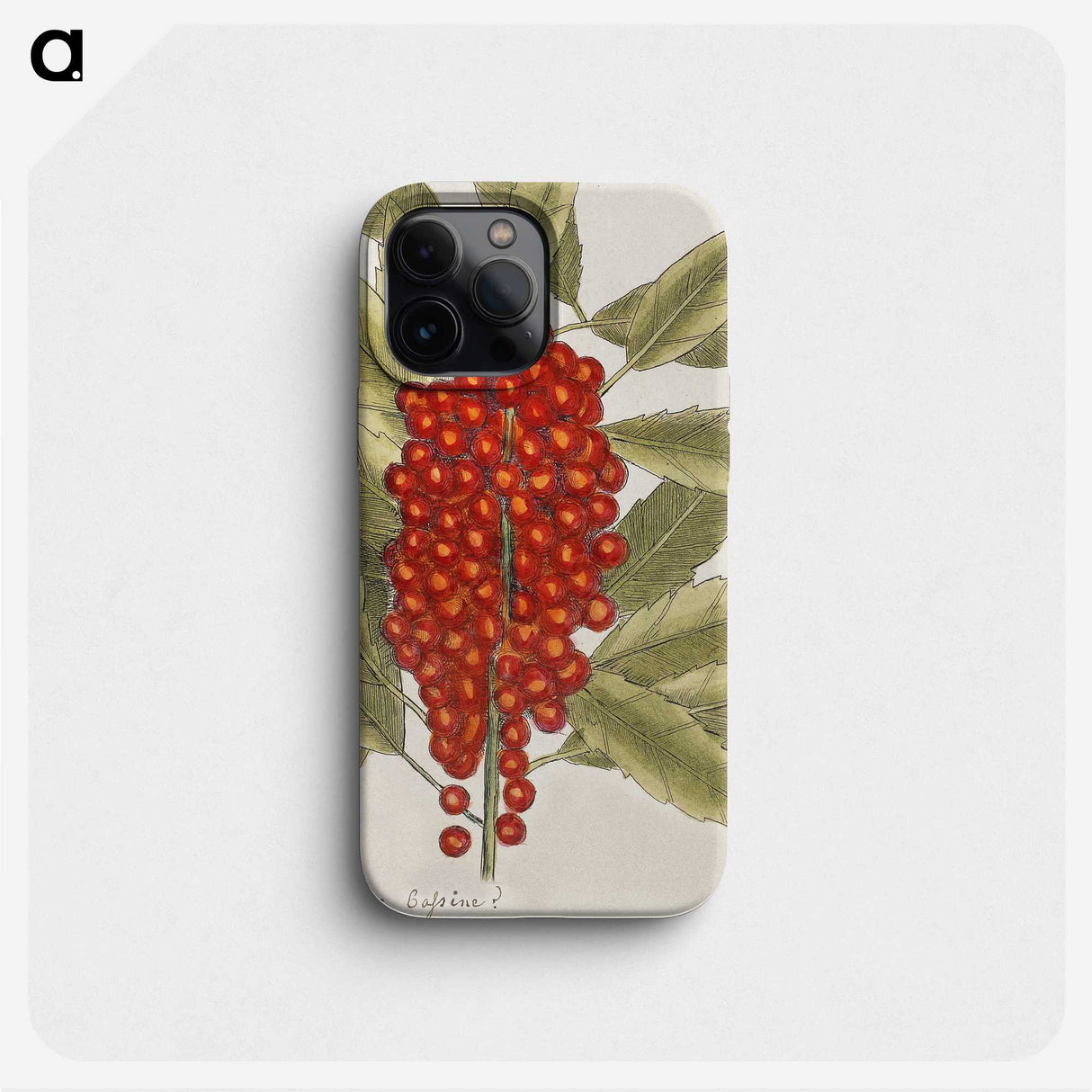 1-66_Mark-Catesby_phone