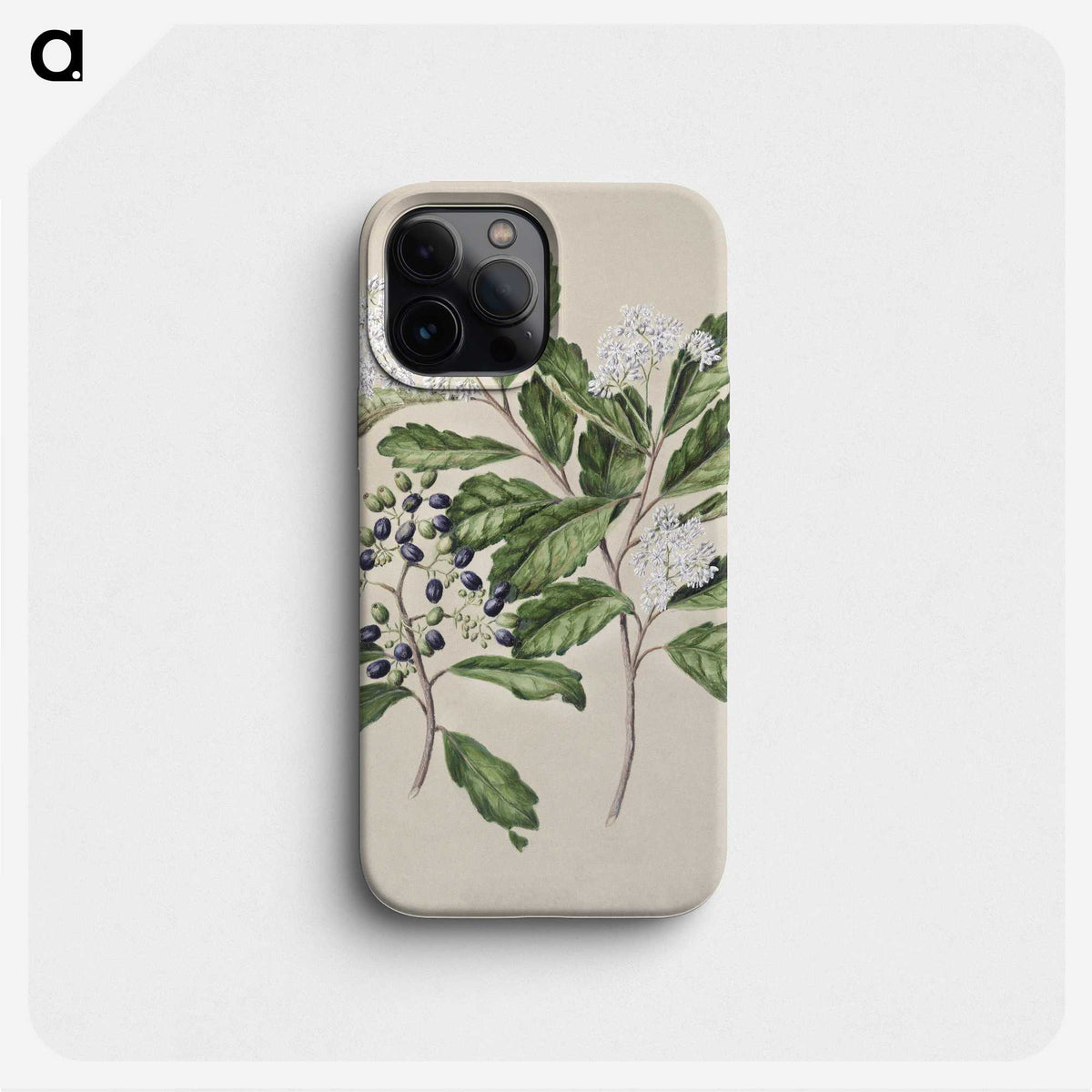 1-66_Native-Flowering-Plants-of-New-Zealand_phone