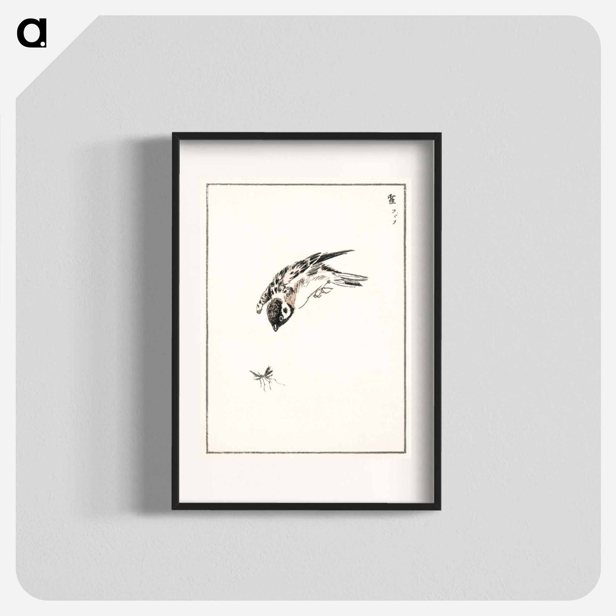 アートポスター-Sparrow Illustration
- 鳥類図鑑 Poster.