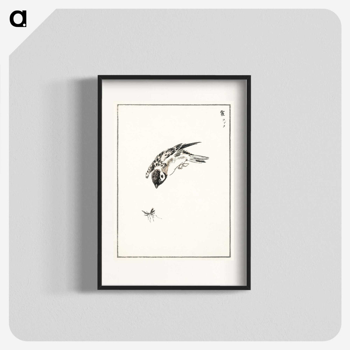 1-66_Pictorial-Monograph-of-Birds_blk