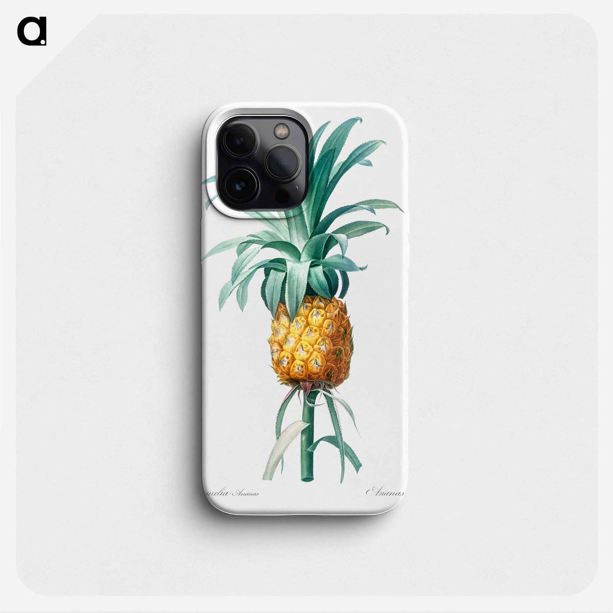Pineapple illustration - ピエール ジョゼフ ルドゥーテ Phone Case.