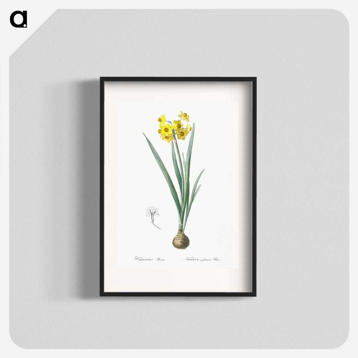 1-66_The-Lilies_blk