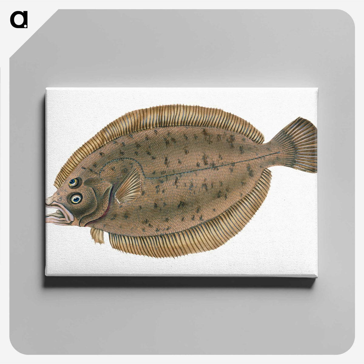 1-66_The-Natural-History-of-British-Fishes_canvas