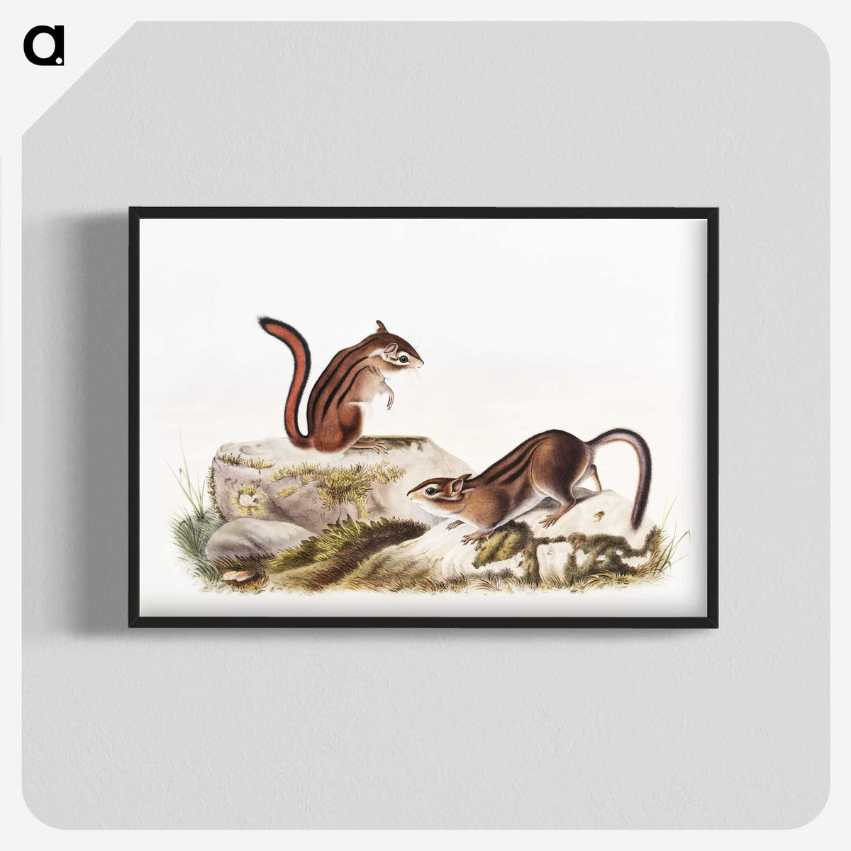 1-66_The-Viviparous-Quadrupeds_blk-crop