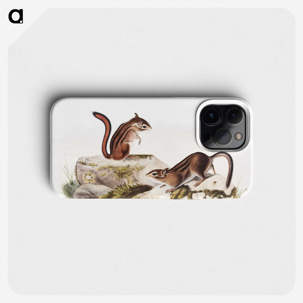 1-66_The-Viviparous-Quadrupeds_phone
